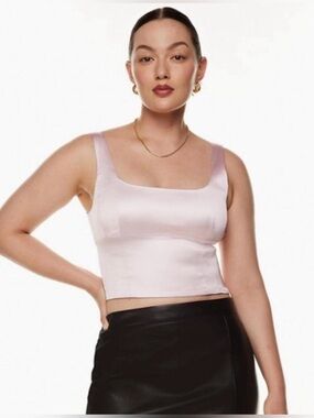 Wilfred Aritzia Shine Bustier Baby Pink Satin Cropped Top
